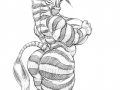 AC2001-Zebra--Butt.jpg